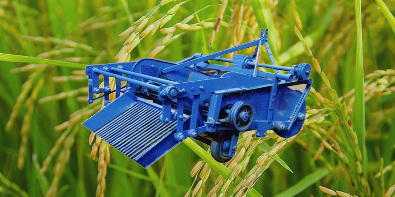 Potato digger implement
